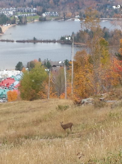 Mont Tremblant Resort Lac Tremblant Ski
