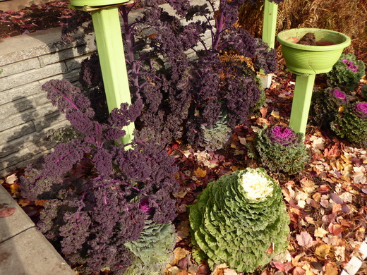 Saint-Sauveur Montreal Mont Tremblant Resort Lac Tremblant Ski Saint-Sauveur Mont Tremblant Resort Lac Tremblant Ski