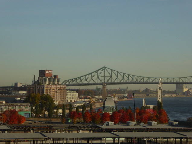 Montreal Montreal City