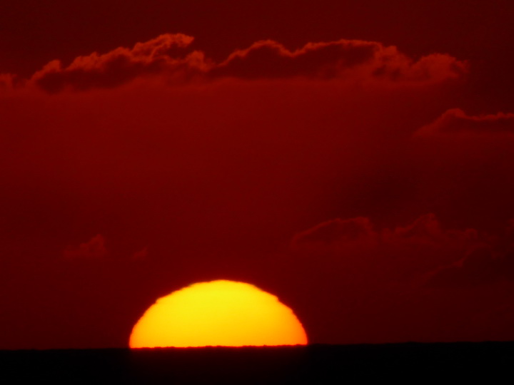 Hamilton Bermuda Bermudas  Sundowner 