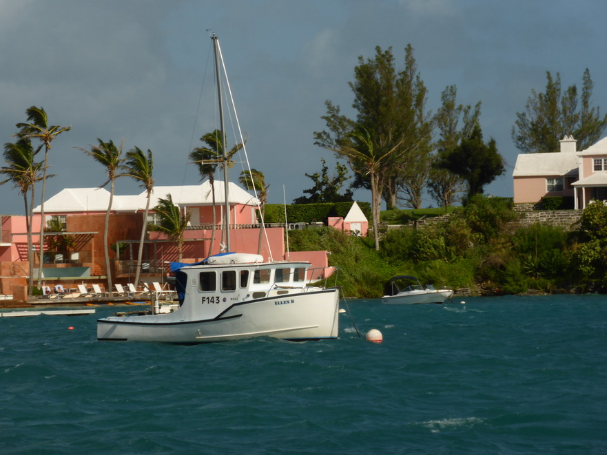 Hamilton Bermuda Houses 