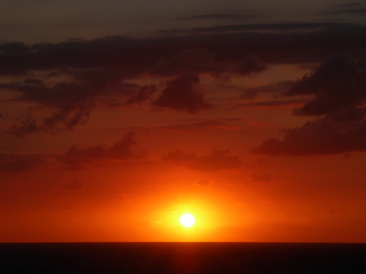 Hamilton Bermuda Bermudas  Sundowner 