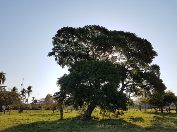 POUSADA-Xaraes-Jeepsafari