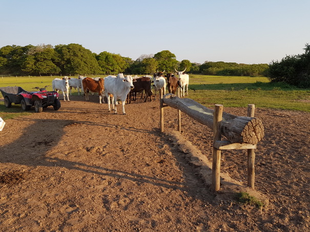 POUSADA-Xaraes-Jeepsafari