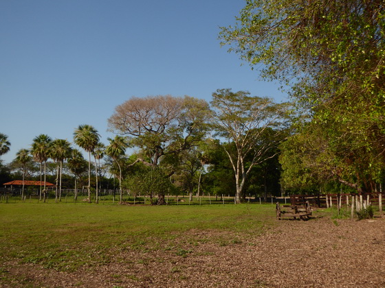 POUSADA Xaraes Black Vulture