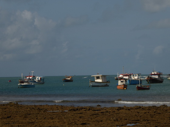tivoli eco resort bahia de salvador brazil Praia Do Forte Fisherboat