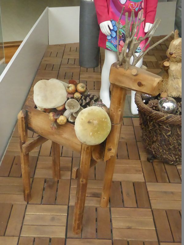 La Palma Santa Cruz de la Palma