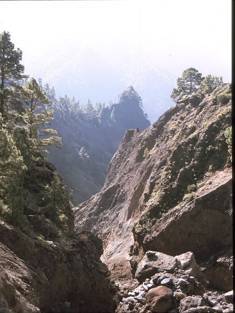 La Palma  La Palma   La Palma  Vulkanwandern  Caldereia de Taburiente