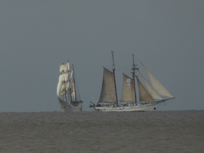 Scheveningen Segler Seglerparade Segelschiff
