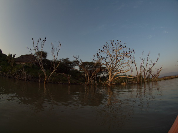 Kenia Lake Baringo Island Camp Boatsafari FisheyeKenia Lake Baringo Island Camp 1 Boatsafari Fisheye