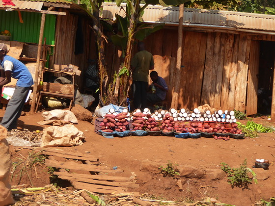    Kenia   Fahrt   Mara   Bogoria  Kenia   Fahrt   Mara  Aberdare NP