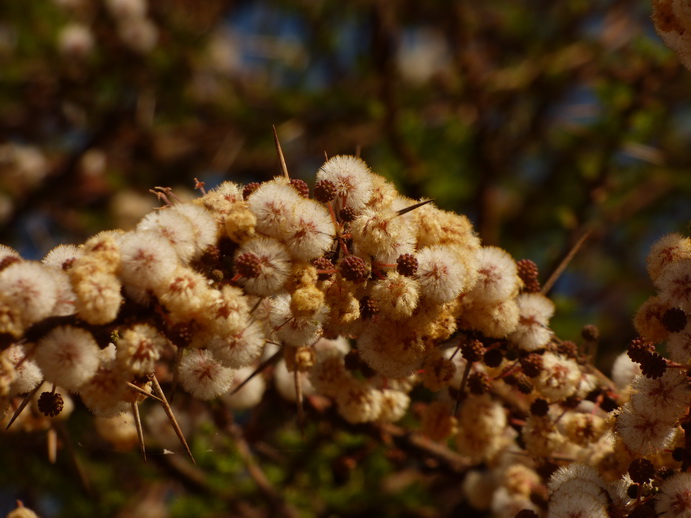 Samburu Nationalpark Samburu National park Lookout HillSamburu Nationalpark Samburu National park Lookout Hill