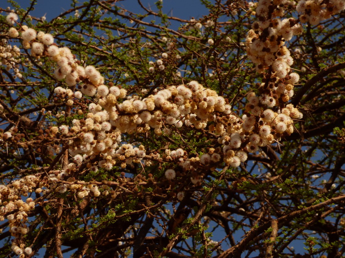 Samburu Nationalpark Samburu National park Lookout HillSamburu Nationalpark Samburu National park Lookout Hill
