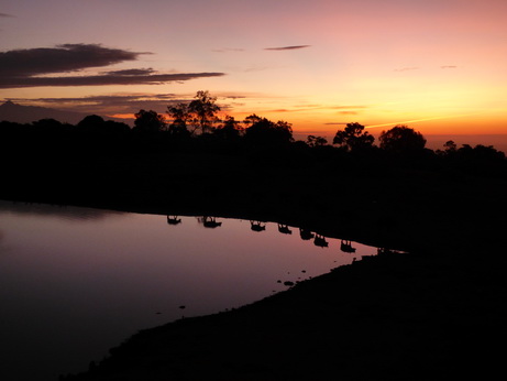 The Ark in Kenia Aberdare National Park Buffalo-Sundowner