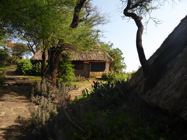 Kenia Lake Baringo Island Camp