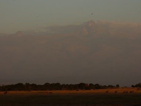 mt.kenia