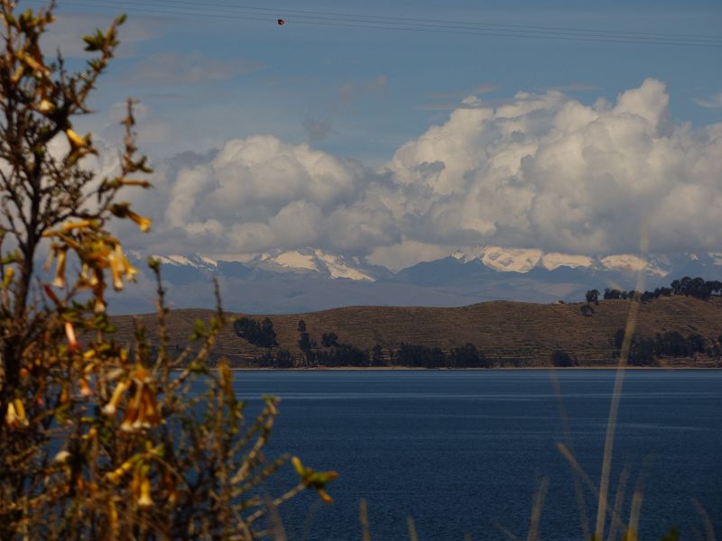 Copacabana Lago Titicaca Titicacasee Isla del Sol Isla de Luna Schlange Serpentina Serpiente
