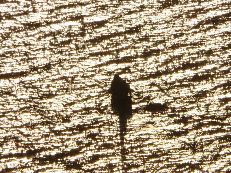 Bolivien Copacabana Lago Titicaca Titicacasee Sundown Sonnenuntergang