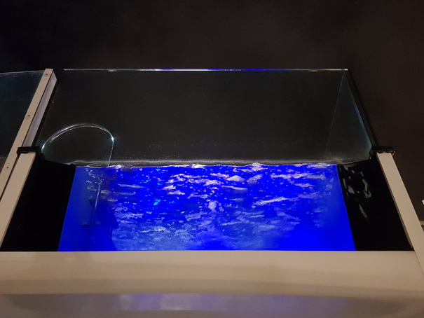 Aida Prima  Buffalo Steackhouse  