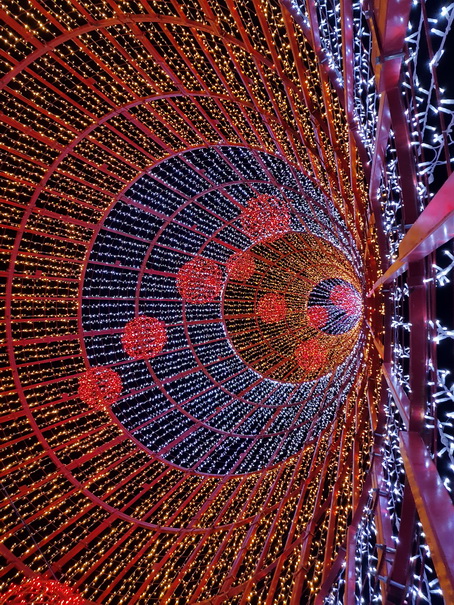 Madeira 2017 Christmastree Weihnachtsbaum Madeira 2017 Christmastree Weihnachtsbaum Weihnachtsschmuck