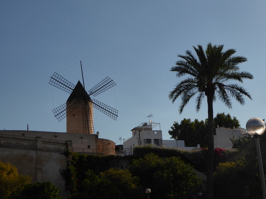 Palma de Mallorca Mallorca Avenida de Gabriel Roca Palma de Mallorca Mallorca Avenida de Gabriel Roca