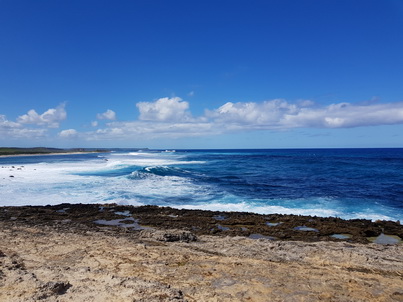 Guadelope Pointe des Châteaux Ostküste