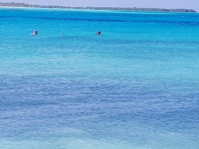   Bonaire Schnorcheln mit MeeresschildkröteBonaire Schnorcheln mit Meeresschildkröten