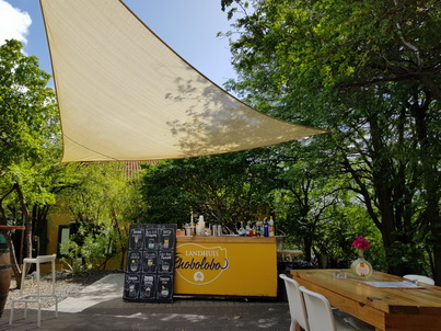 Curacao Willemstad Chobolobo Blue Curacao Curacao Willemstad Chobolobo Blue Curacao