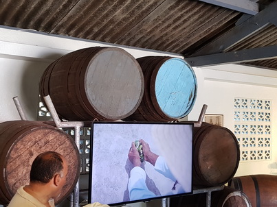 Curacao Willemstad Chobolobo Blue Curacao Curacao Willemstad Chobolobo Blue Curacao