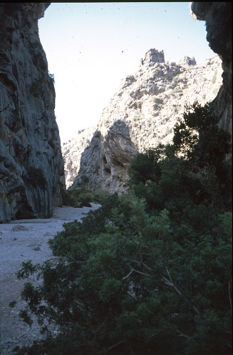 Die Schlucht Torrent de Pareis/La Calobra