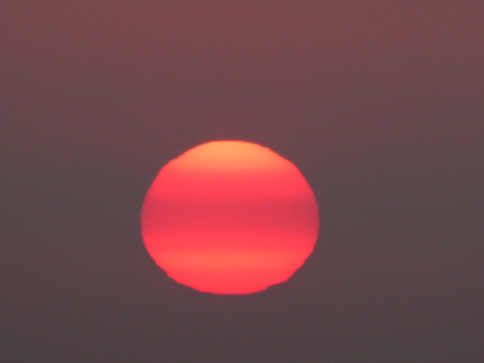 Zypern NIkosia Griechenland  Zypern Limassol Zypern Limassol Hafen sundowner