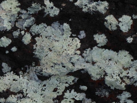 Lanzarote Feuerberge Nationalpark Montana Colorada Montañas del Fuego (Feuerberge) Lanzarote Timanfaya-Nationalpark Parque Nacional de Timanfaya